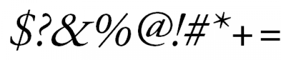 Garamond (APC) Italic Font OTHER CHARS