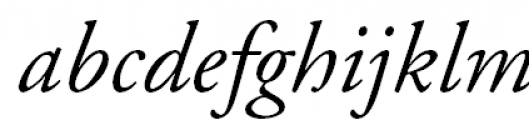Garamond (APC) Italic FONT