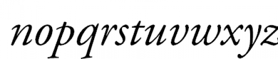 Garamond (APC) Italic Font LOWERCASE