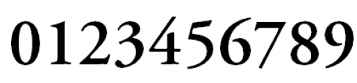 Garamond (APC) Semi Bold Font OTHER CHARS