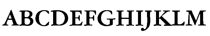 Garamond Text Bold Font UPPERCASE