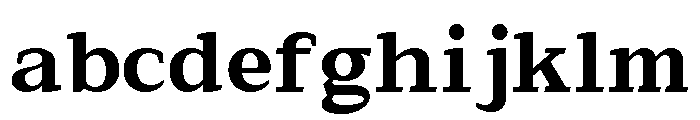 GC New Times Remain Bold FONT