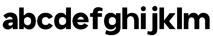 GC PROTAGE Bold FONT