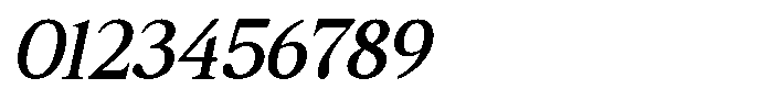 GC Driver Company  Italic Italic Font OTHER CHARS