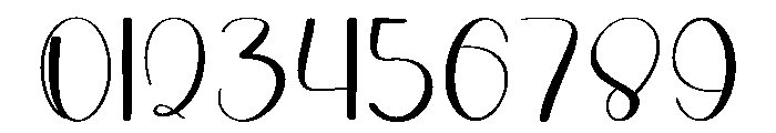 Georgeous Signature Font OTHER CHARS