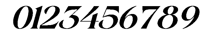 Gerstein-BoldItalic Font OTHER CHARS