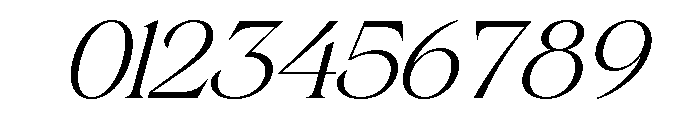Gerstein-LightItalic Font OTHER CHARS