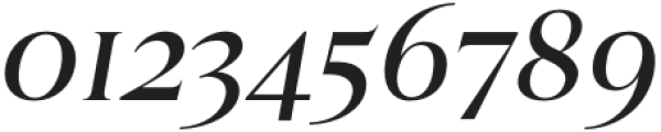 Geneva-Serif regular otf (400) Font OTHER CHARS