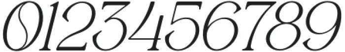 Gerlick Italic otf (400) Font OTHER CHARS