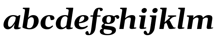Gelasio Bold Italic Font LOWERCASE
