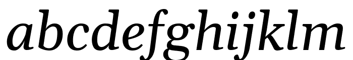 Gelasio Italic Font LOWERCASE