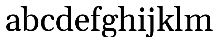 Gelasio Regular Font LOWERCASE
