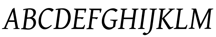 Gentium Basic Italic Font UPPERCASE