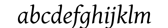 Gentium Italic Font LOWERCASE