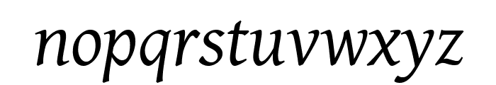 Gentium Plus Italic Font LOWERCASE