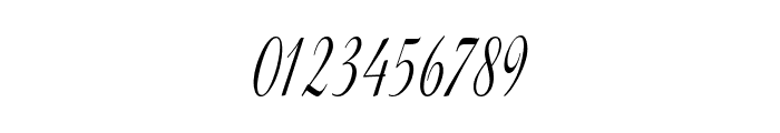 GershwinScript-CondensedItalic Font OTHER CHARS