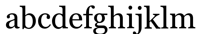 Georgia Font LOWERCASE