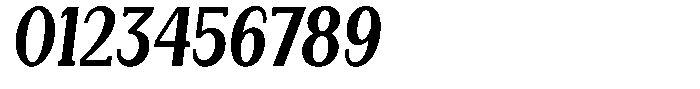Gegisa Bold Condensed Slant Font OTHER CHARS