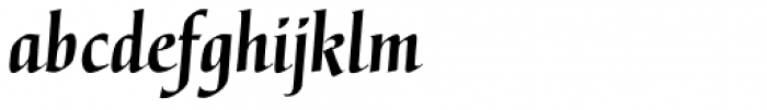 Gertrud Bold Italic Font LOWERCASE