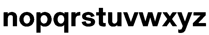 Gerstner Programm Bold Font LOWERCASE