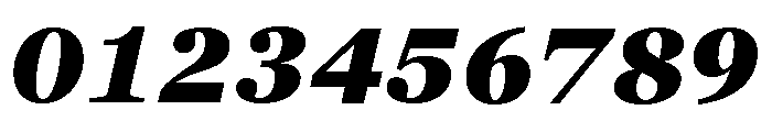 Georgia Pro Black Italic Font OTHER CHARS