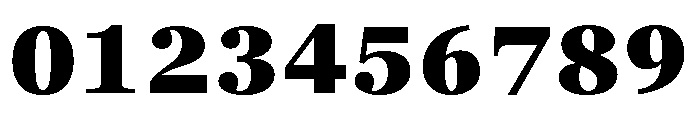 Georgia Pro Black Font OTHER CHARS