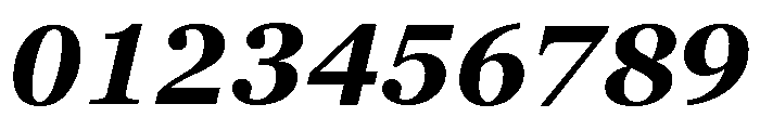 Georgia Pro Bold Italic Font OTHER CHARS