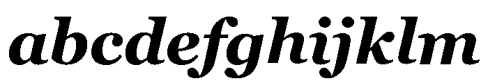 Georgia Pro Bold Italic FONT
