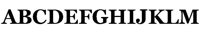 Georgia Pro Bold Font UPPERCASE