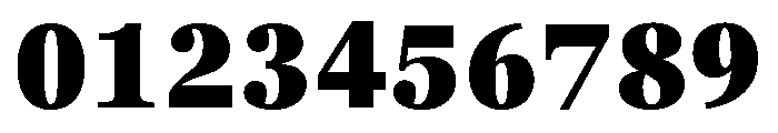 Georgia Pro Condensed Black Font OTHER CHARS