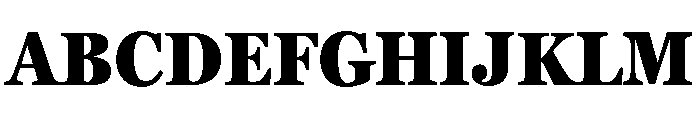 Georgia Pro Condensed Black Font UPPERCASE