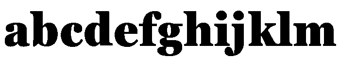 Georgia Pro Condensed Black FONT