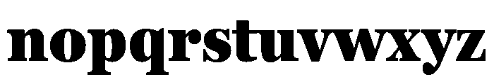 Georgia Pro Condensed Black Font LOWERCASE
