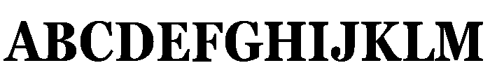Georgia Pro Condensed Bold Font UPPERCASE