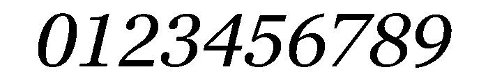 Georgia Pro Regular Italic Font OTHER CHARS