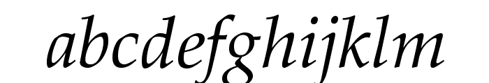 GFSDidot-Italic Font LOWERCASE