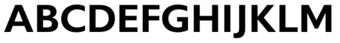Gf H2O Sans Bold Font UPPERCASE