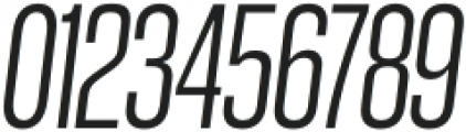 GGX89 Compressed Light Italic otf (300) Font OTHER CHARS