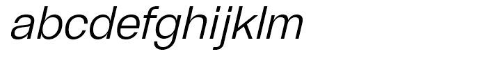 GGX88 Light Italic Font LOWERCASE