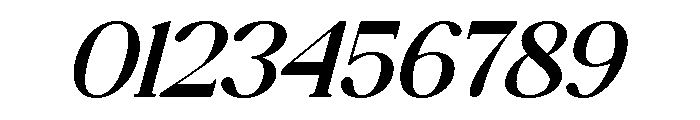 Gilded Stroke Italic Font OTHER CHARS