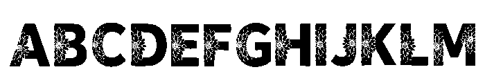 Gisel Regular FONT