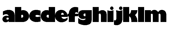 Gill_Sans Black FONT