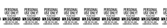 GingoPERSONALUSE-Bold Font OTHER CHARS