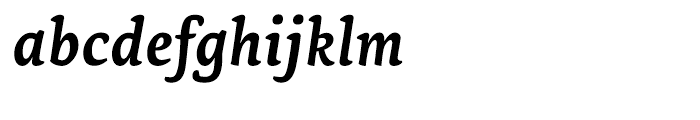 Ginkgo Bold Italic Font LOWERCASE
