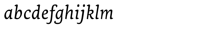 Ginkgo Italic Font LOWERCASE