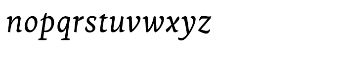 Ginkgo Italic Font LOWERCASE