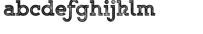 Gist Rough Upright Exbold Font LOWERCASE