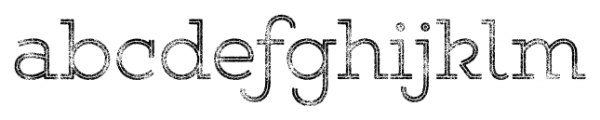 Gist Rough Upright Light Three Font LOWERCASE