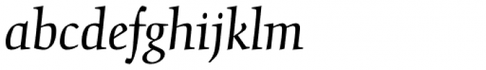 Gilgamesh Pro Book Italic Font LOWERCASE