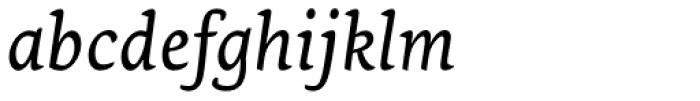 Ginkgo Pro Italic Font LOWERCASE